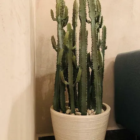 Apartment Jolene