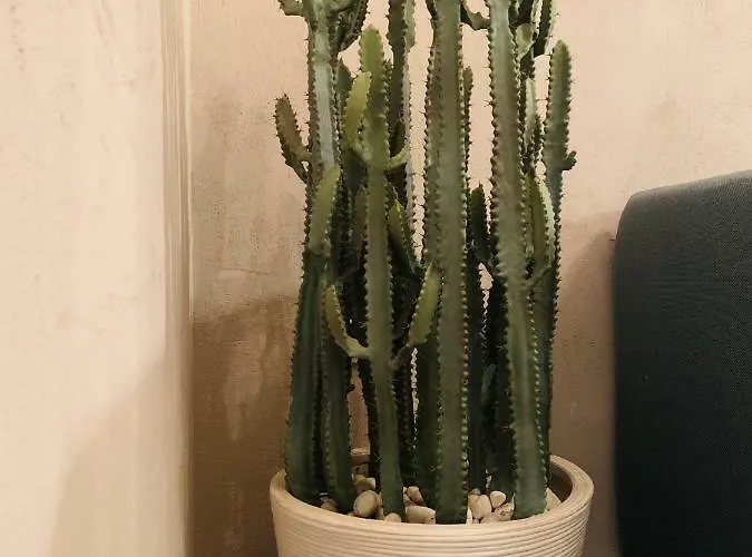 Apartamento Jolene