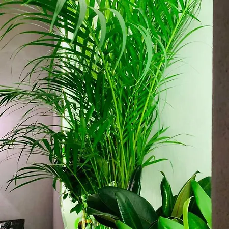 Appartement Jolene Thessalonique